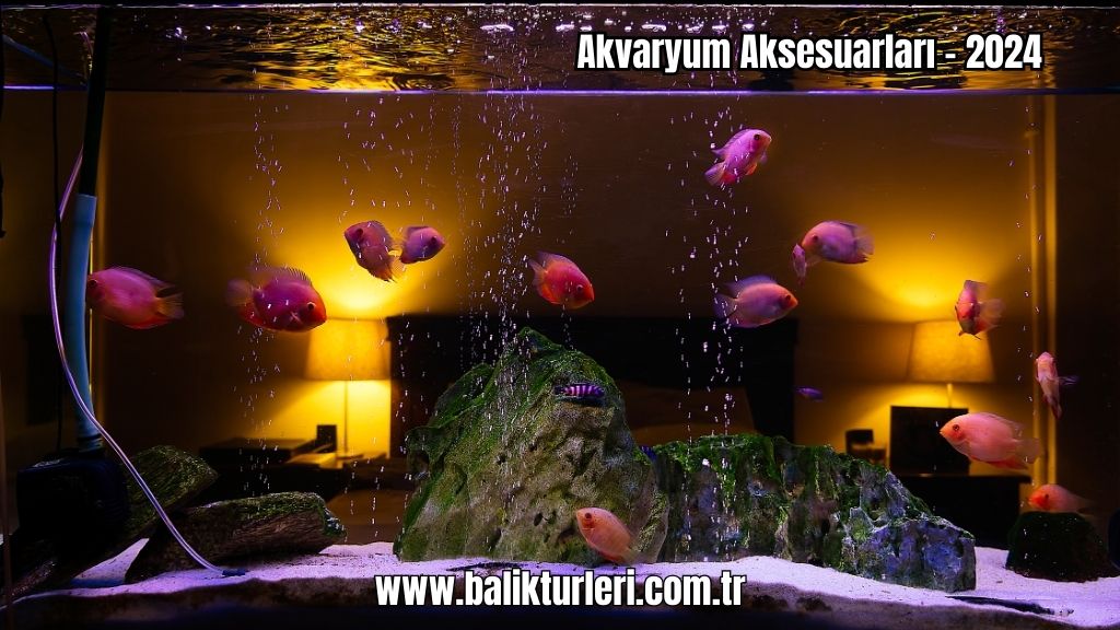 Akvaryum Aksesuarları