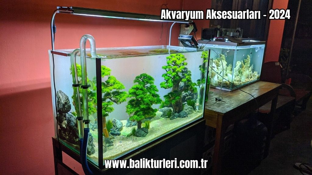 Akvaryum Aksesuarları