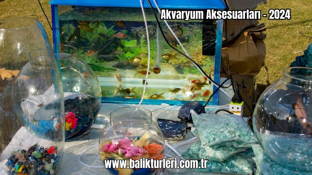 Akvaryum Aksesuarları
