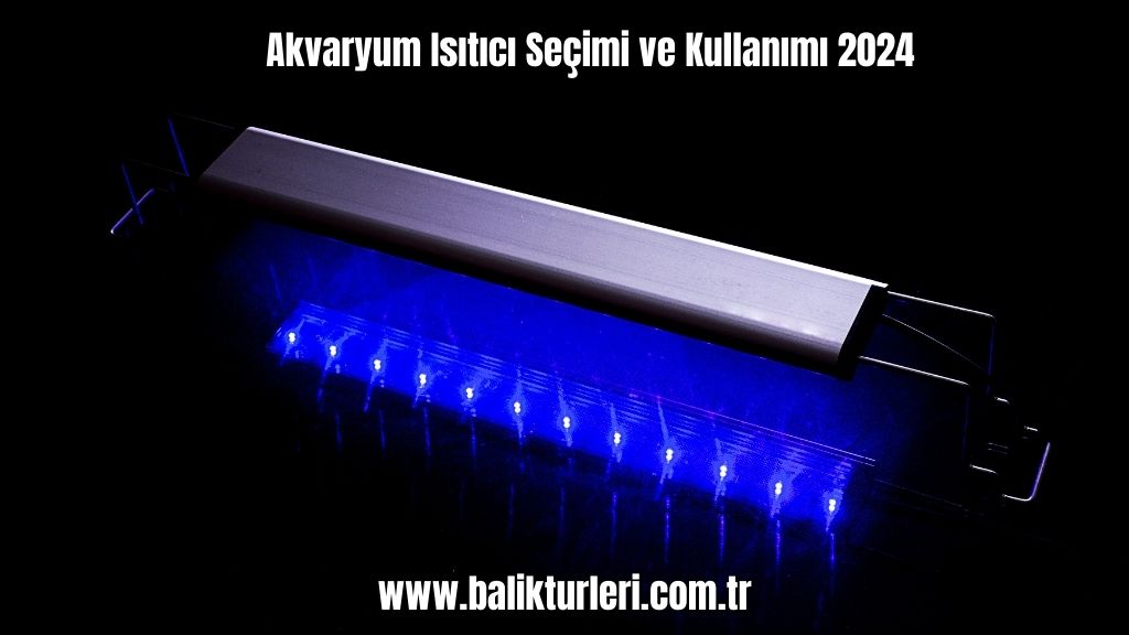 Akvaryum Aydınlatması