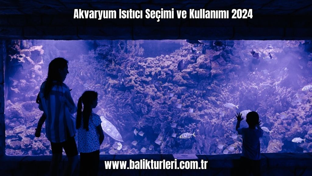 Akvaryum Aydınlatması