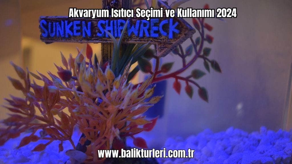 Akvaryum Aydınlatması