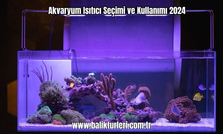 Akvaryum-Aydinlatmasi