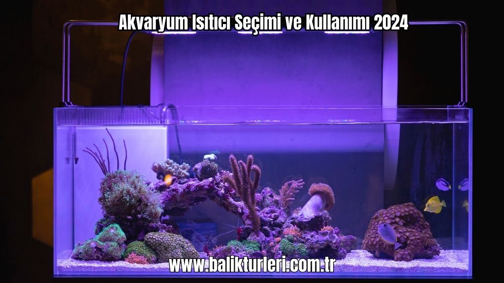 Akvaryum Aydınlatması
