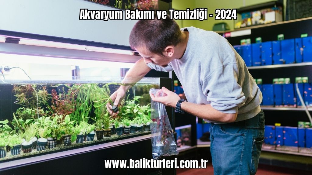 Akvaryum Bakımı ve Temizliği - 2024