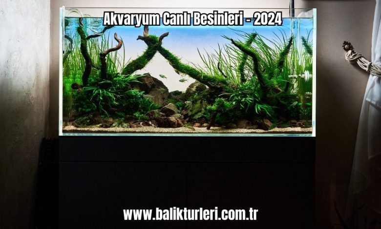 Akvaryum-Canli-Besinleri-2024
