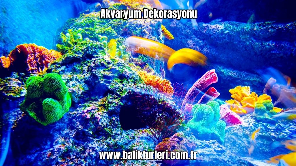 Akvaryum Dekorasyonu