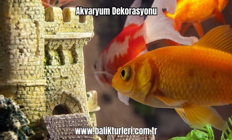 Akvaryum-Dekorasyonu