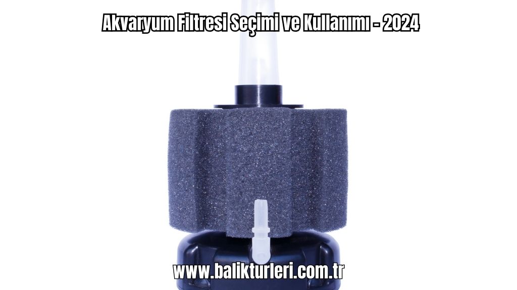 Akvaryum Filtresi Seçimi ve Kullanımı - 2024