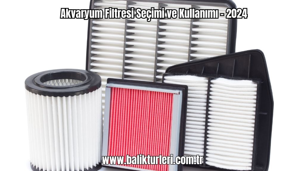 Akvaryum Filtresi Seçimi ve Kullanımı - 2024
