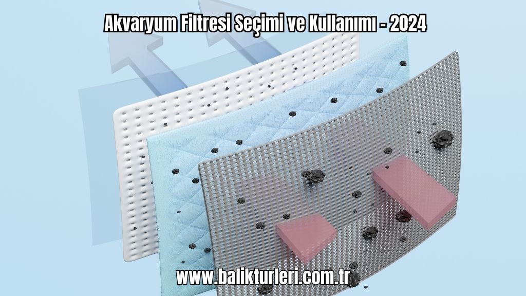 Akvaryum Filtresi Seçimi ve Kullanımı - 2024