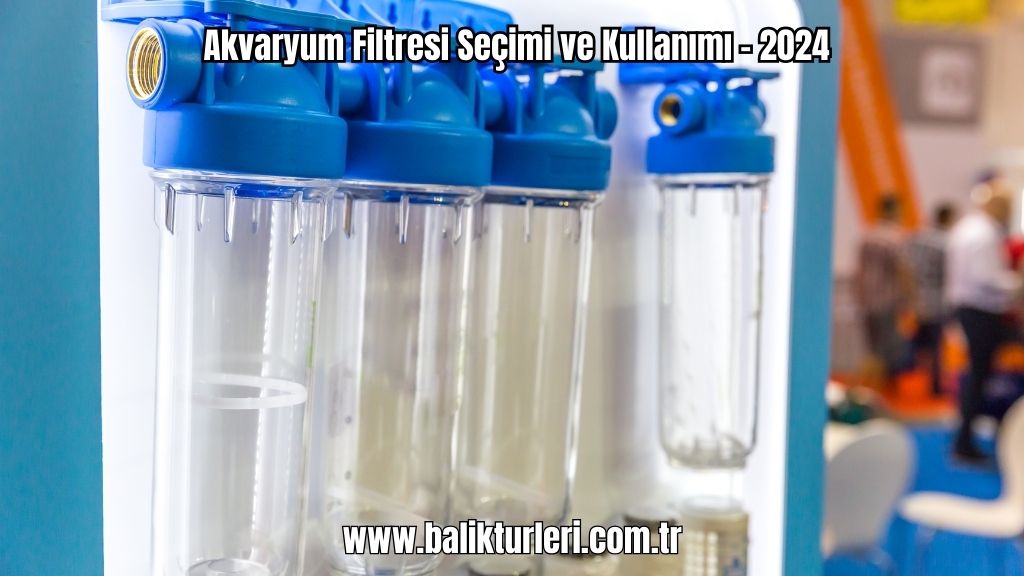 Akvaryum Filtresi Seçimi ve Kullanımı - 2024