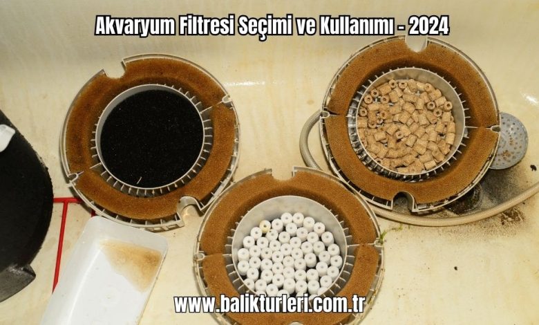 Akvaryum-Filtresi-Secimi-ve-Kullanimi-2024