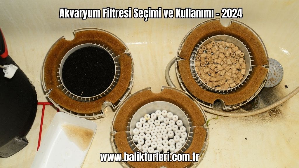 Akvaryum Filtresi Seçimi ve Kullanımı - 2024