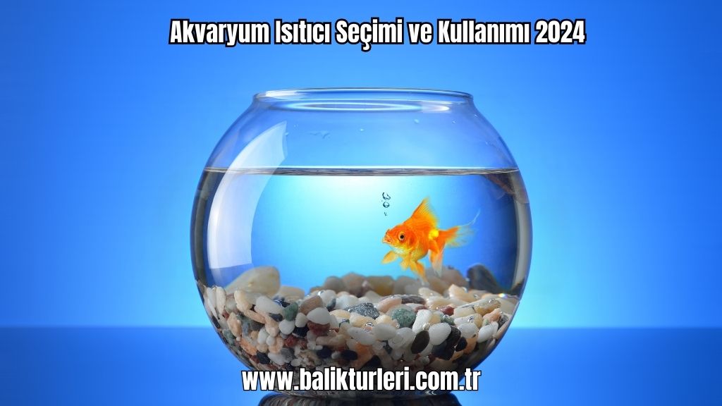 Akvaryum Isıtıcı Seçimi ve Kullanımı 2024