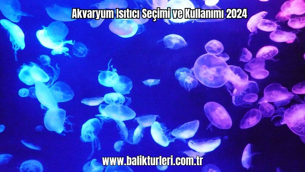 Akvaryum Isıtıcı Seçimi ve Kullanımı 2024