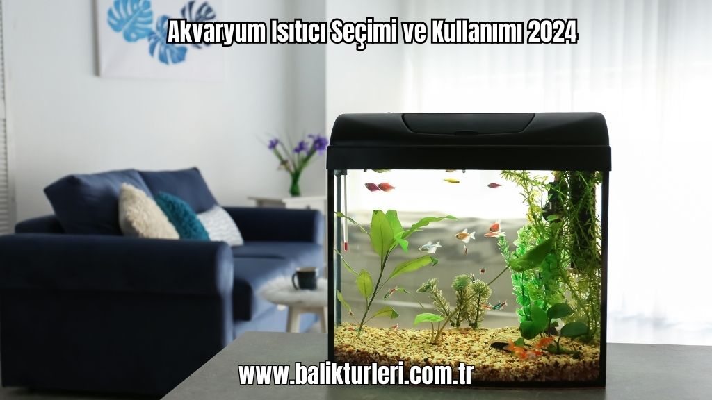 Akvaryum Isıtıcı Seçimi ve Kullanımı 2024