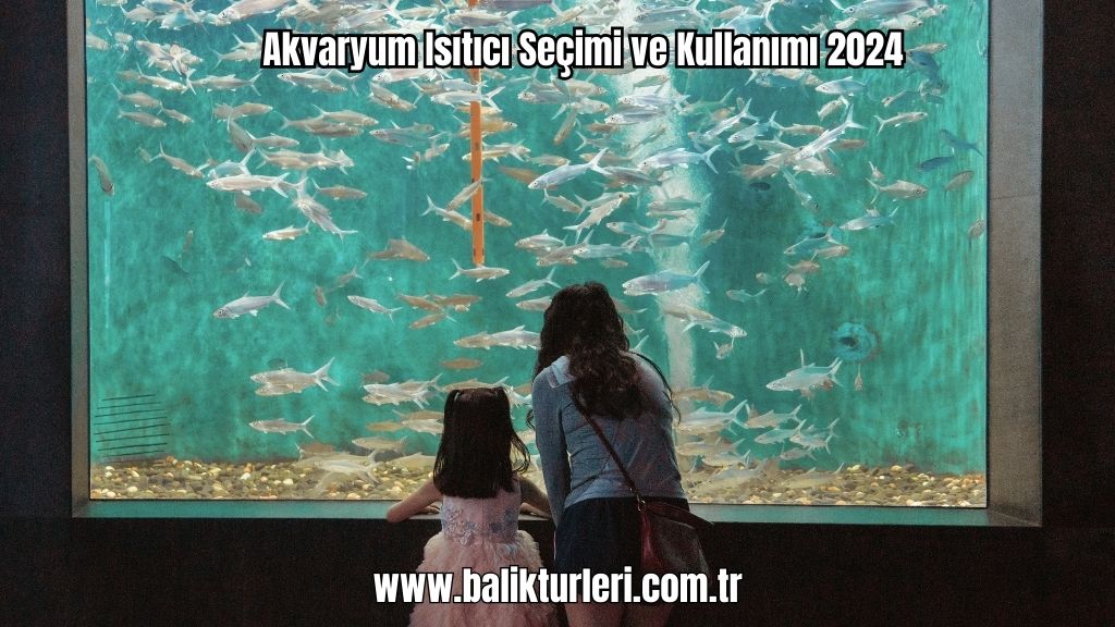 Akvaryum Isıtıcı Seçimi ve Kullanımı 2024