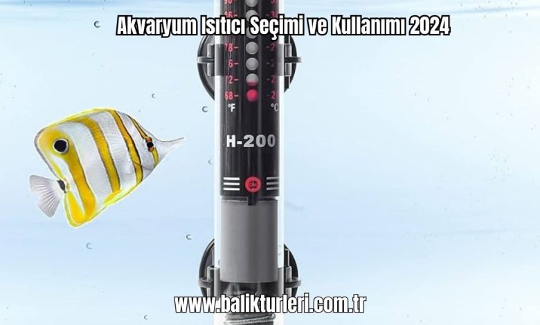 Akvaryum-Isitici-Secimi-ve-Kullanimi-2024