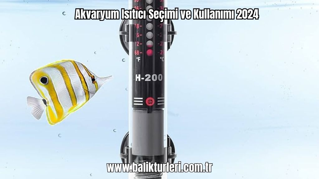 Akvaryum Isıtıcı Seçimi ve Kullanımı 2024