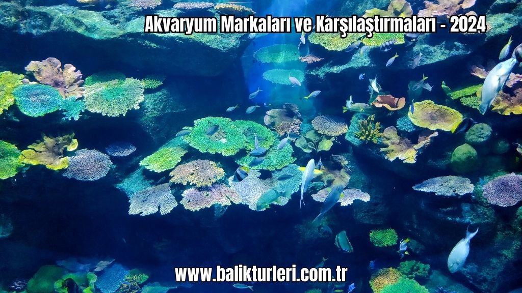 Akvaryum Markaları 