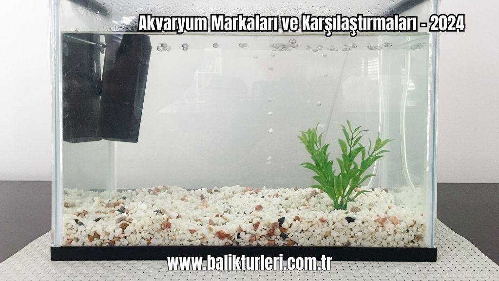 Akvaryum Markaları 