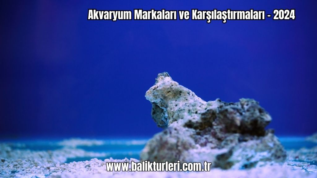 Akvaryum Markaları 