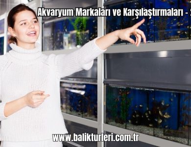 Akvaryum-Markalari-ve-Karsilastirmalari-2024