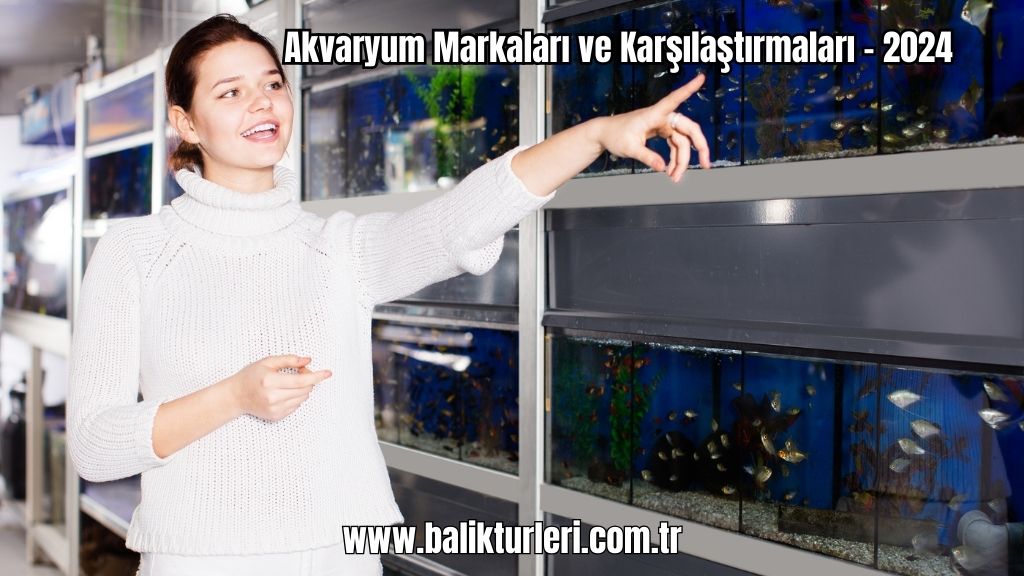 Akvaryum Markaları 