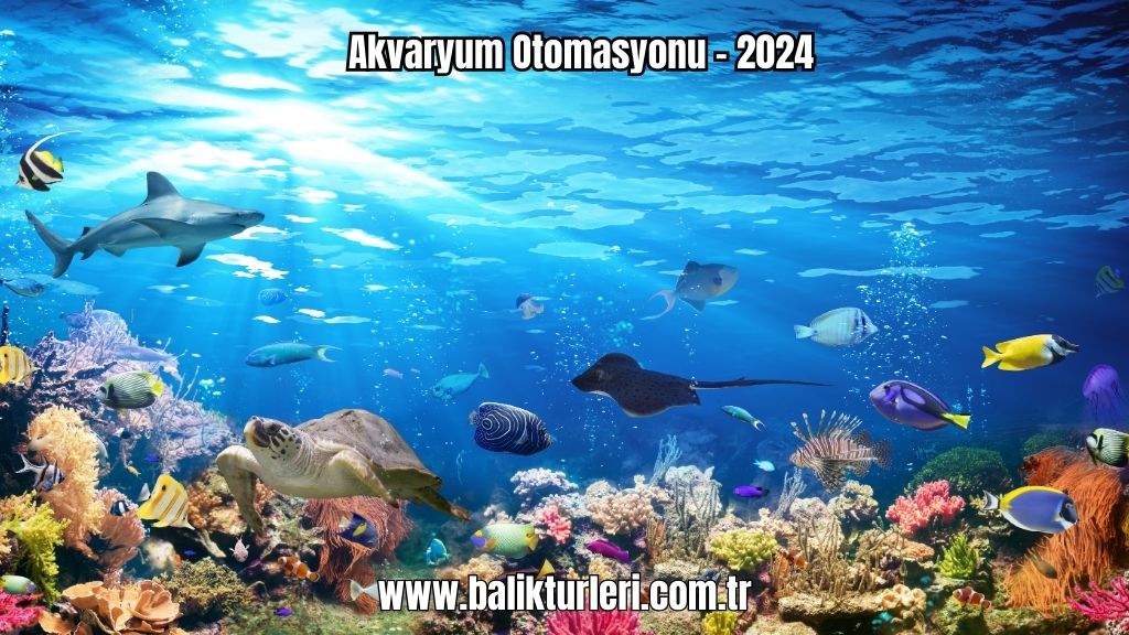 Akvaryum Otomasyonu - 2024