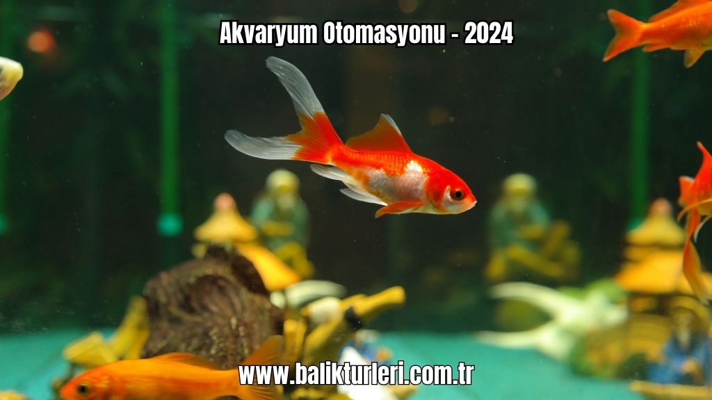 Akvaryum Otomasyonu - 2024