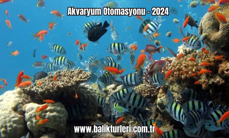 Akvaryum-Otomasyonu-2024