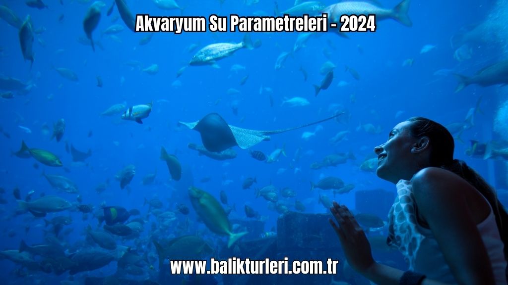 Akvaryum Su Parametreleri - 2024