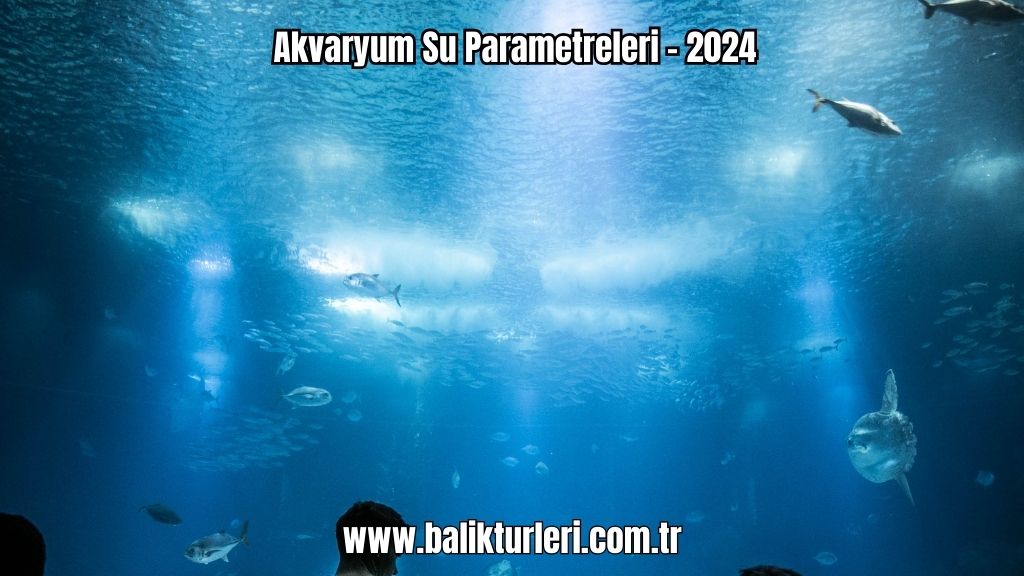 Akvaryum Su Parametreleri - 2024