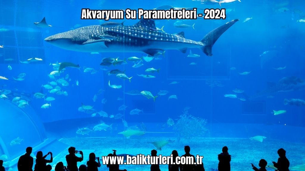 Akvaryum Su Parametreleri - 2024