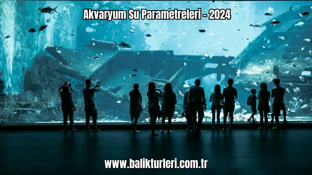 Akvaryum Su Parametreleri - 2024
