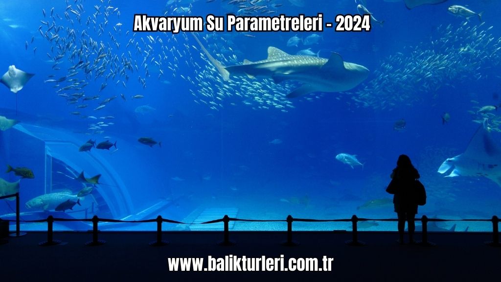 Akvaryum Su Parametreleri - 2024