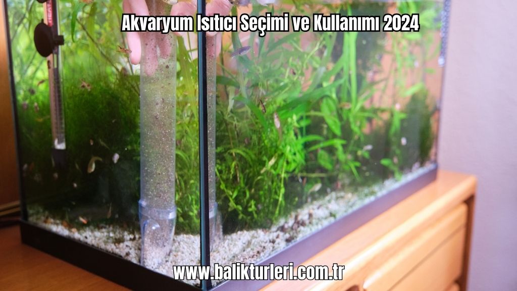 Akvaryum Substratı - 2024
