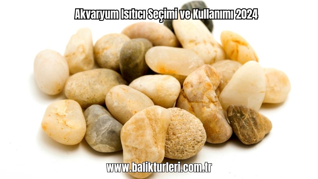 Akvaryum Substratı - 2024