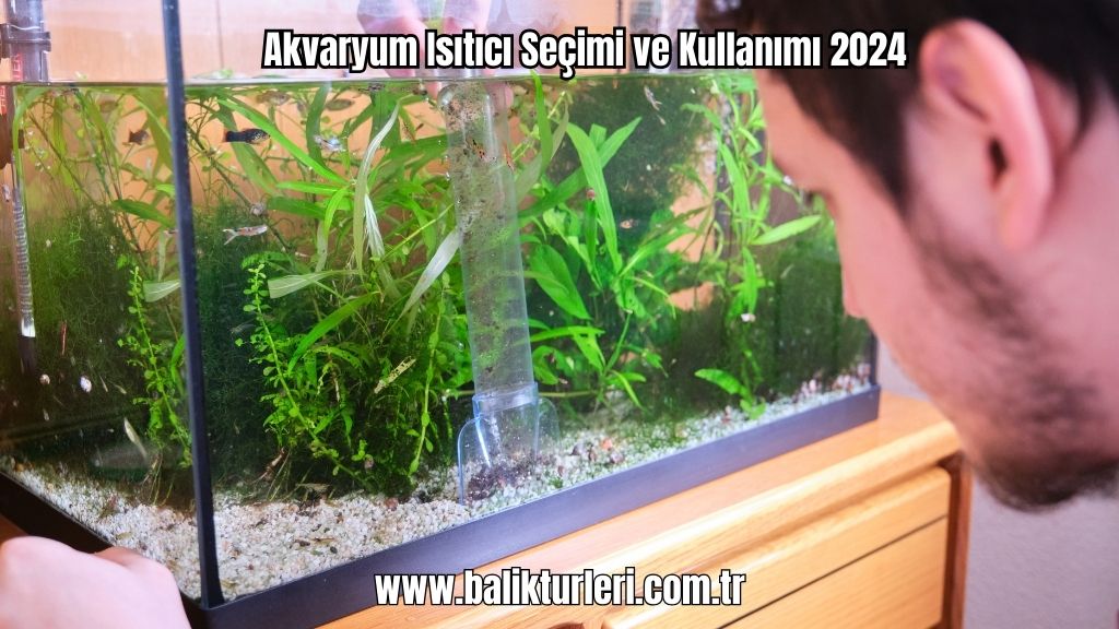 Akvaryum Substratı - 2024