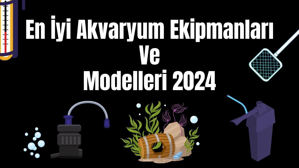 En İyi Akvaryum Ekipmanları ve Modelleri 2024