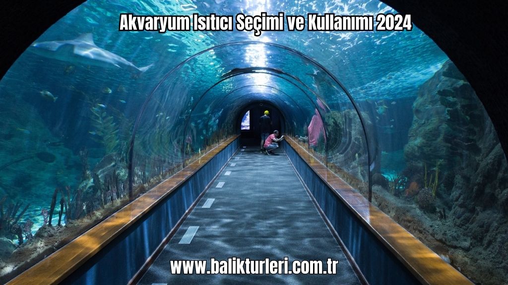 Hava Motoru ve Hava Taşı