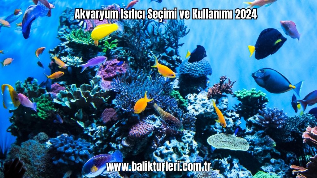 Hava Motoru ve Hava Taşı