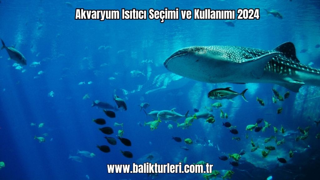 Hava Motoru ve Hava Taşı