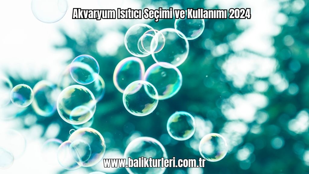 Hava Motoru ve Hava Taşı
