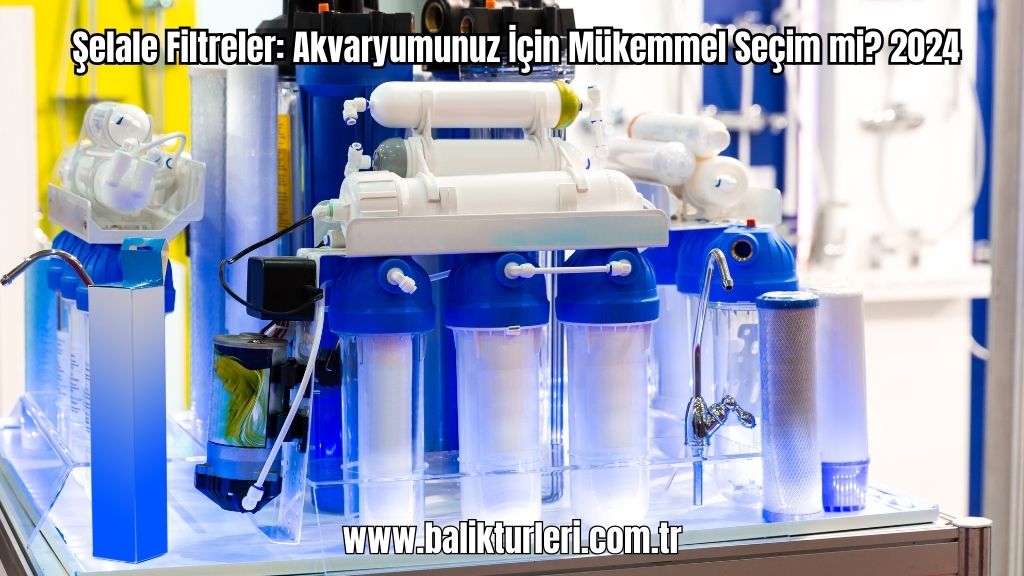 Şelale Filtre vs. Diğer Filtre Türleri: Hangisi Sizin İçin Uygun?