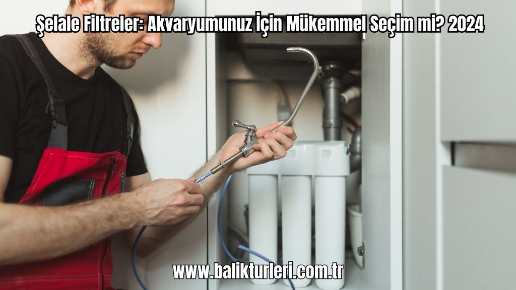 Şelale Filtre vs. Diğer Filtre Türleri: Hangisi Sizin İçin Uygun?