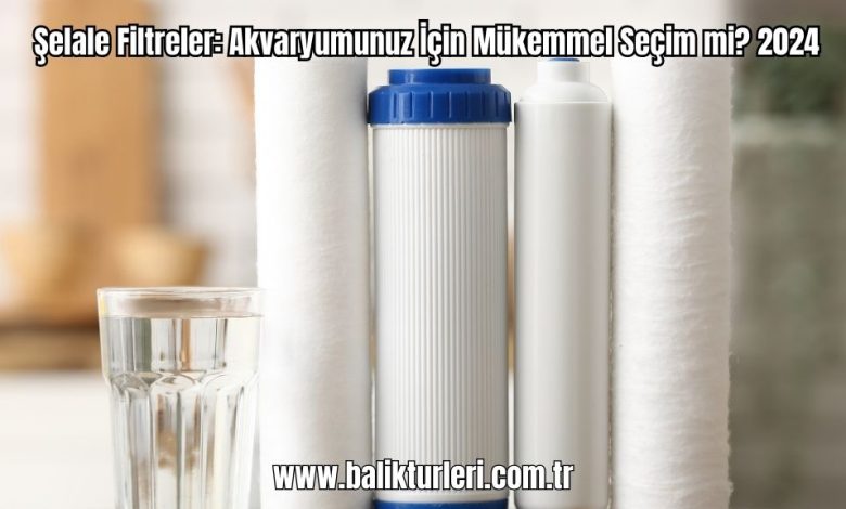 Selale-Filtreler-Akvaryumunuz-Icin-Mukemmel-Secim-mi-2024
