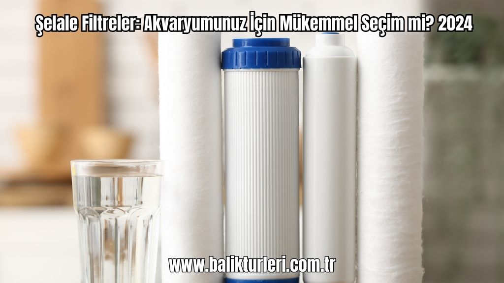 Şelale Filtreler