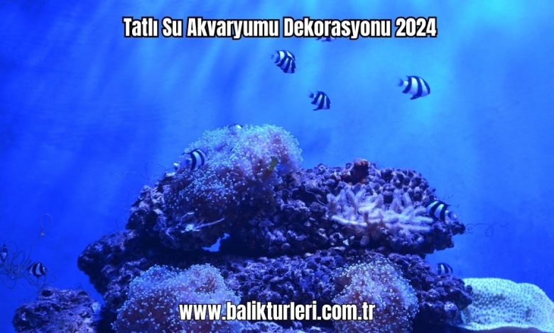 Tatli-Su-Akvaryumu-Dekorasyonu-2024